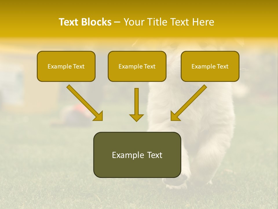 Garden Domestic View PowerPoint Template