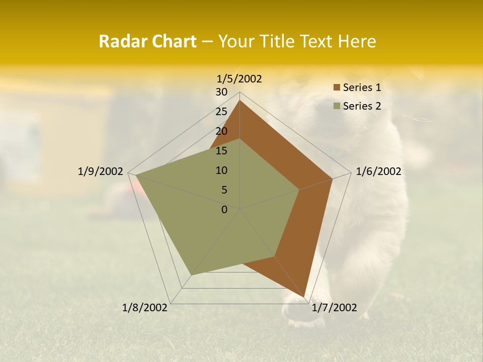 Garden Domestic View PowerPoint Template