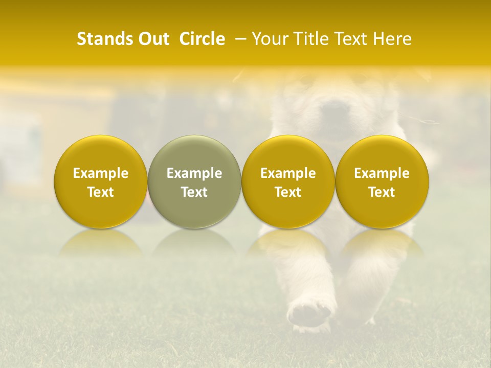 Garden Domestic View PowerPoint Template