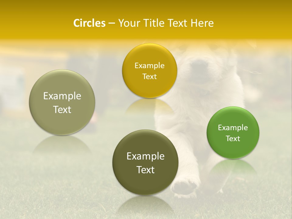 Garden Domestic View PowerPoint Template