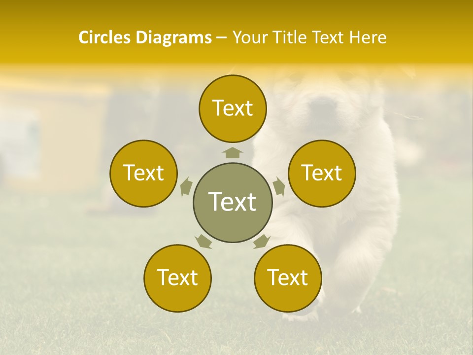 Garden Domestic View PowerPoint Template