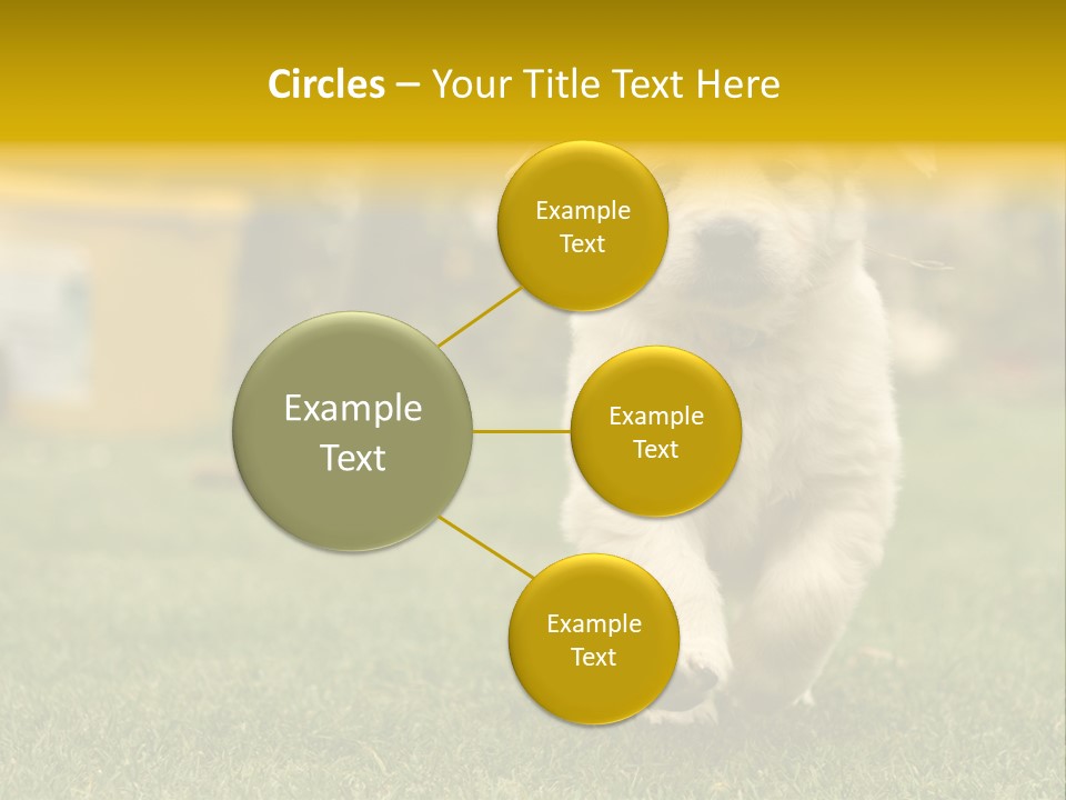 Garden Domestic View PowerPoint Template