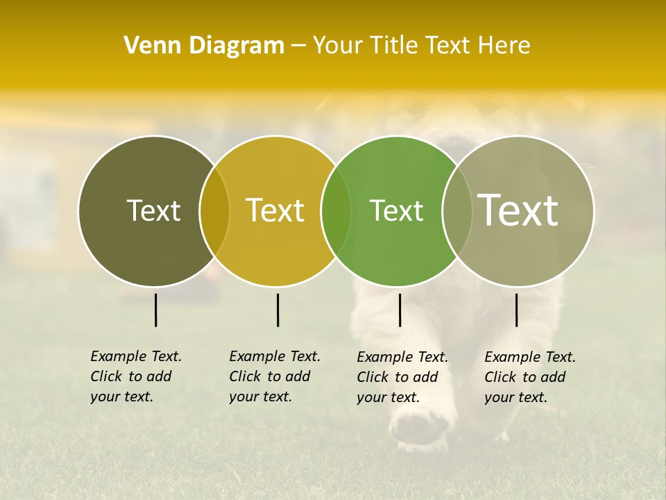 Garden Domestic View PowerPoint Template