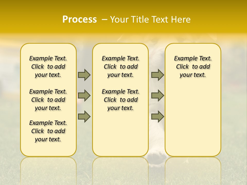 Garden Domestic View PowerPoint Template