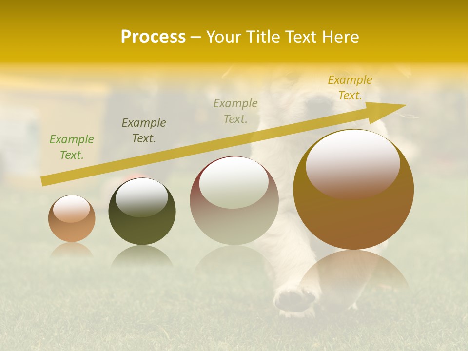 Garden Domestic View PowerPoint Template