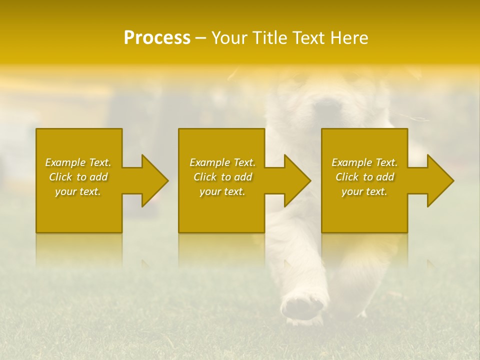 Garden Domestic View PowerPoint Template