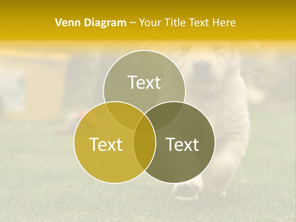 Garden Domestic View PowerPoint Template