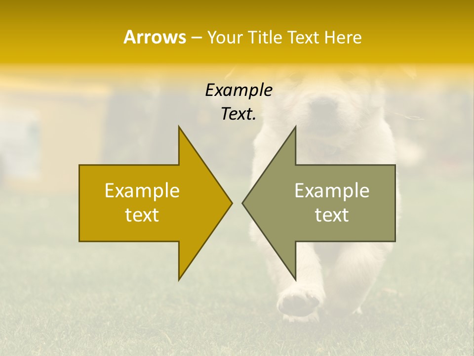 Garden Domestic View PowerPoint Template