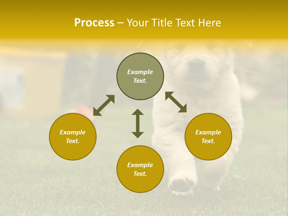 Garden Domestic View PowerPoint Template