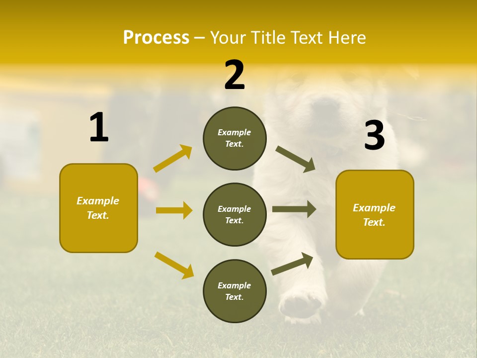 Garden Domestic View PowerPoint Template