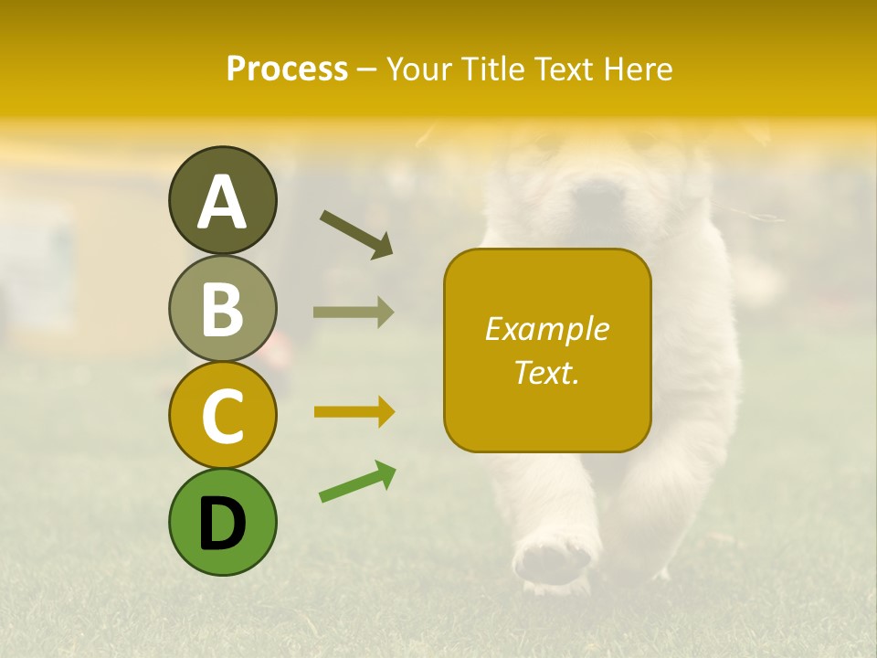 Garden Domestic View PowerPoint Template
