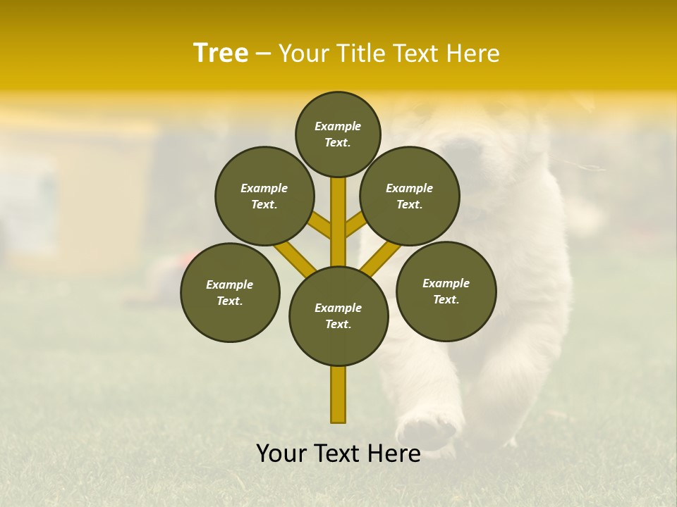Garden Domestic View PowerPoint Template