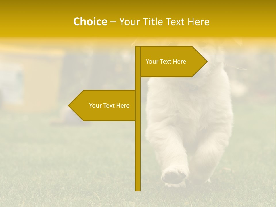 Garden Domestic View PowerPoint Template