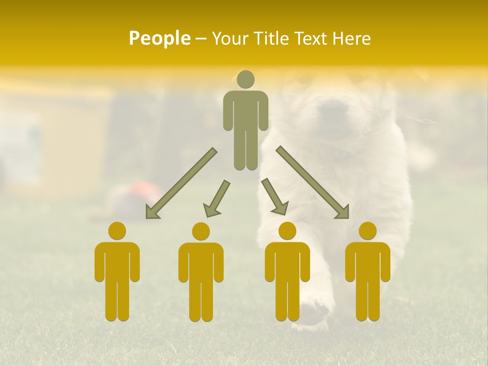 Garden Domestic View PowerPoint Template