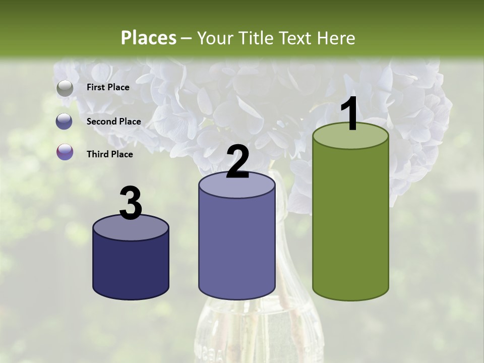 Studio Makeup Portrait PowerPoint Template