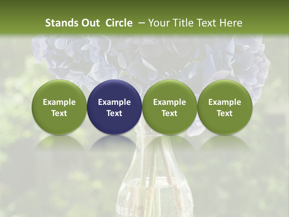 Studio Makeup Portrait PowerPoint Template