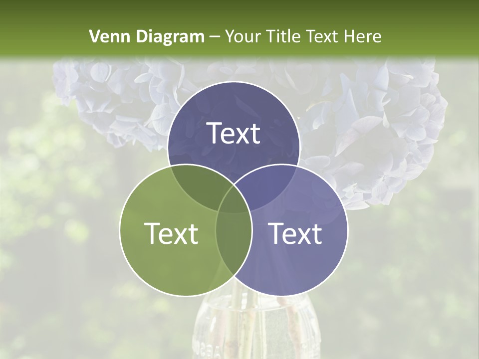 Studio Makeup Portrait PowerPoint Template