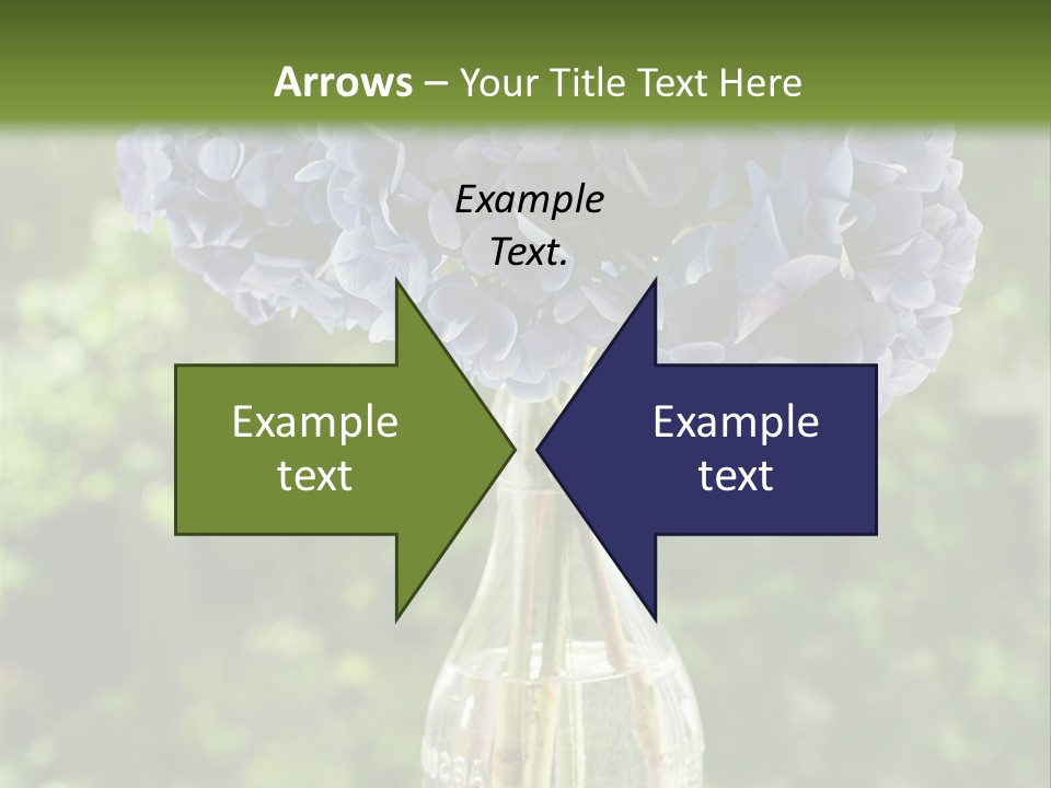 Studio Makeup Portrait PowerPoint Template