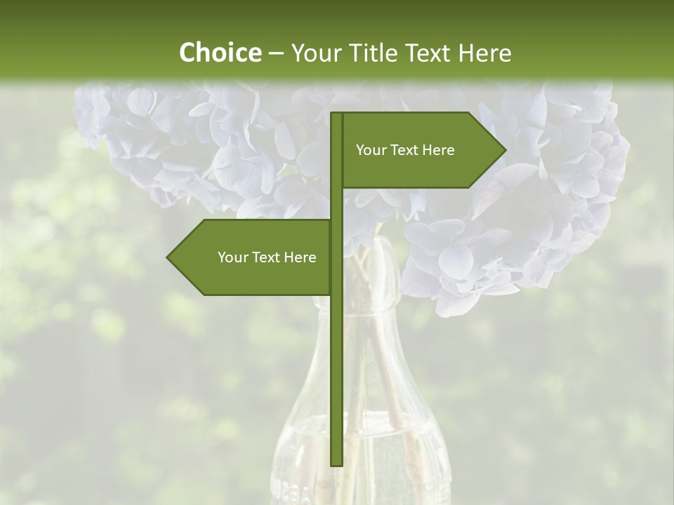 Studio Makeup Portrait PowerPoint Template