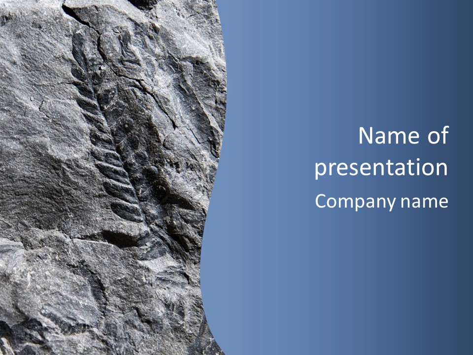 Rock Mesozoic Fractal PowerPoint Template