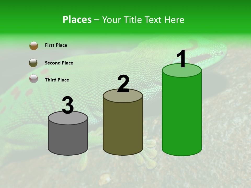 Gecko Chameleon Leaf PowerPoint Template