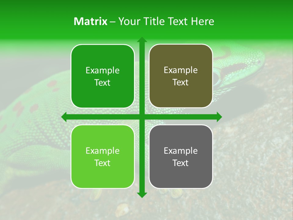 Gecko Chameleon Leaf PowerPoint Template