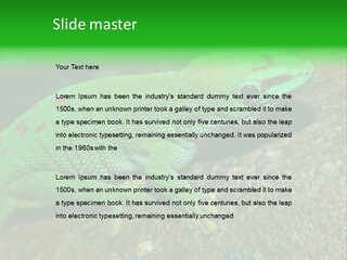 Gecko Chameleon Leaf PowerPoint Template