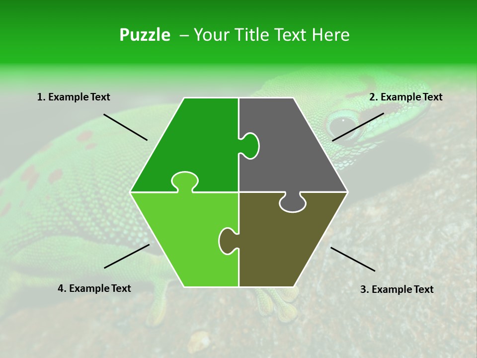 Gecko Chameleon Leaf PowerPoint Template