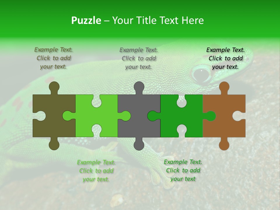 Gecko Chameleon Leaf PowerPoint Template