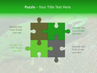 Gecko Chameleon Leaf PowerPoint Template