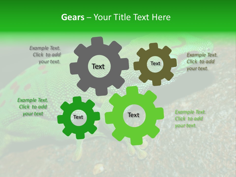 Gecko Chameleon Leaf PowerPoint Template