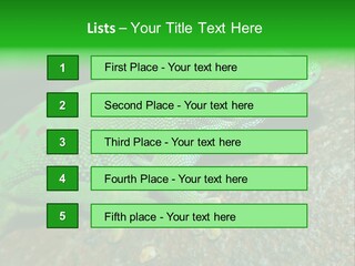 Gecko Chameleon Leaf PowerPoint Template