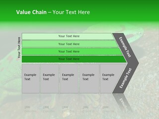 Gecko Chameleon Leaf PowerPoint Template