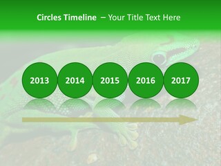 Gecko Chameleon Leaf PowerPoint Template