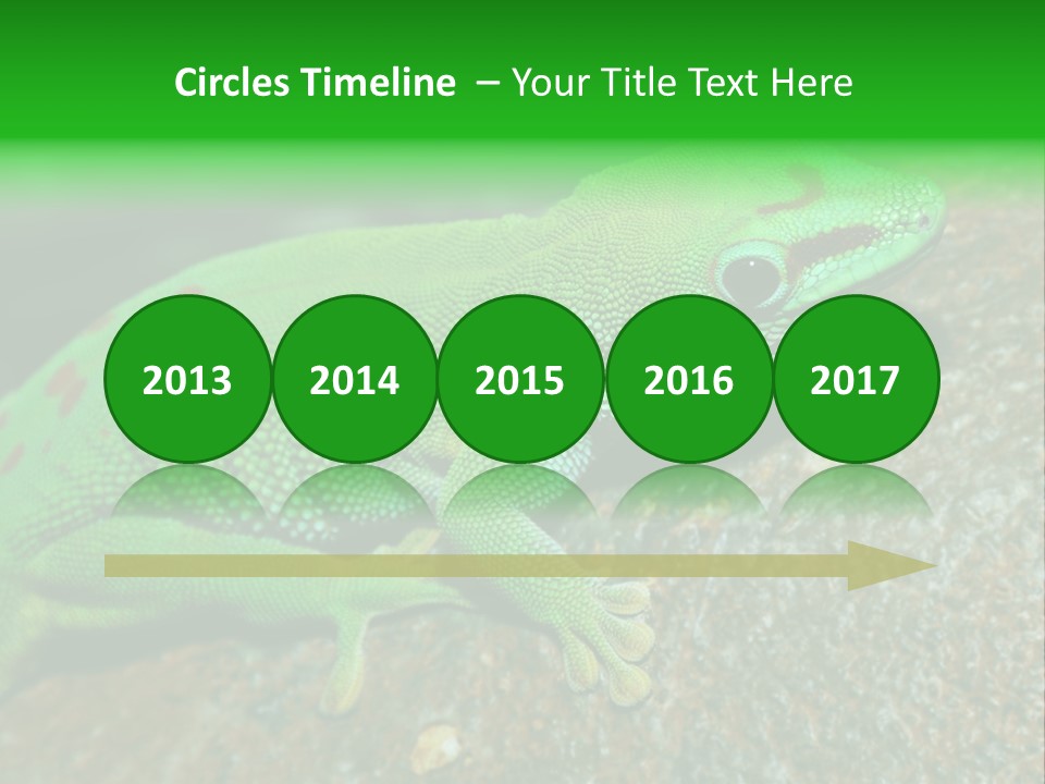 Gecko Chameleon Leaf PowerPoint Template