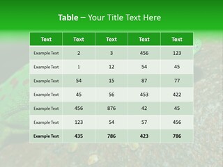 Gecko Chameleon Leaf PowerPoint Template