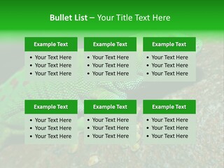 Gecko Chameleon Leaf PowerPoint Template