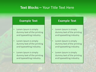 Gecko Chameleon Leaf PowerPoint Template