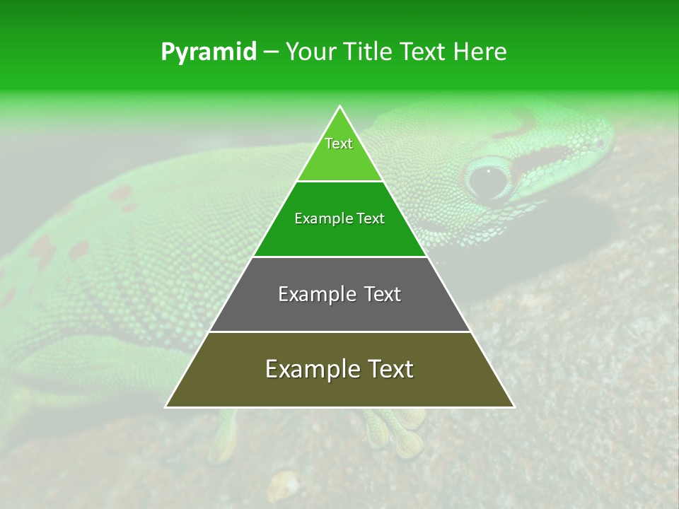 Gecko Chameleon Leaf PowerPoint Template