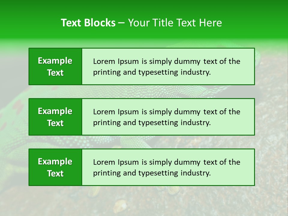 Gecko Chameleon Leaf PowerPoint Template