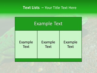 Gecko Chameleon Leaf PowerPoint Template