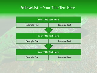 Gecko Chameleon Leaf PowerPoint Template