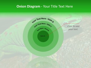 Gecko Chameleon Leaf PowerPoint Template