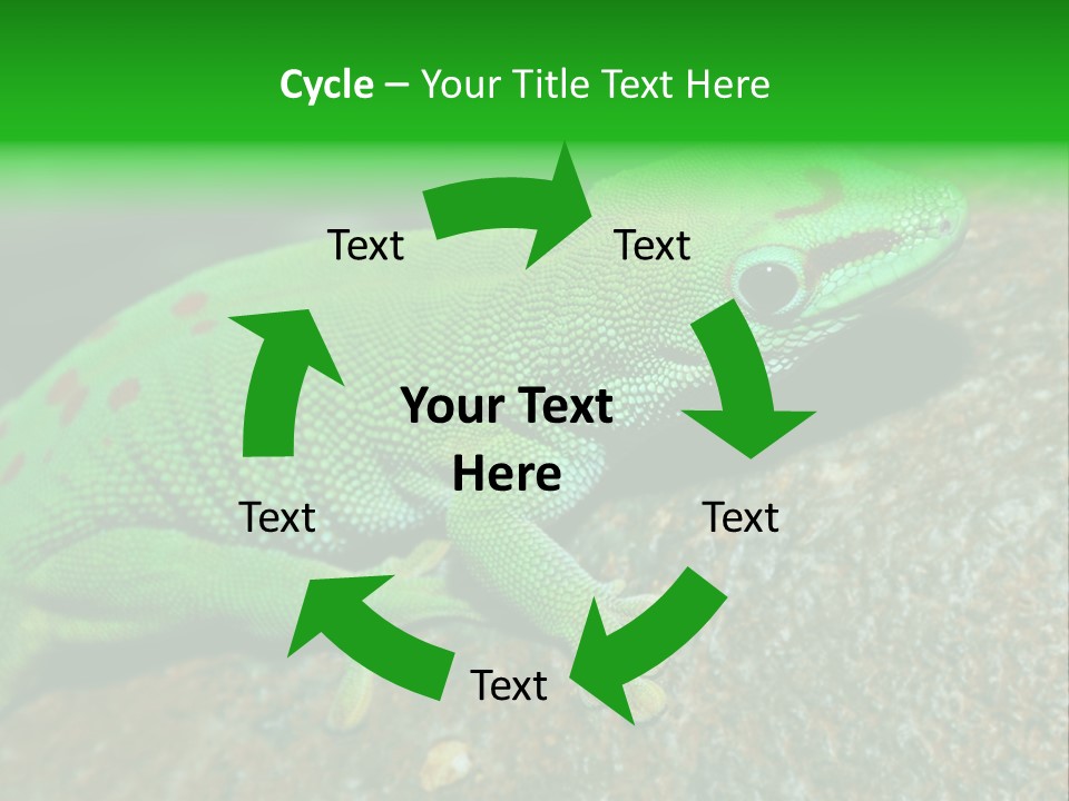 Gecko Chameleon Leaf PowerPoint Template