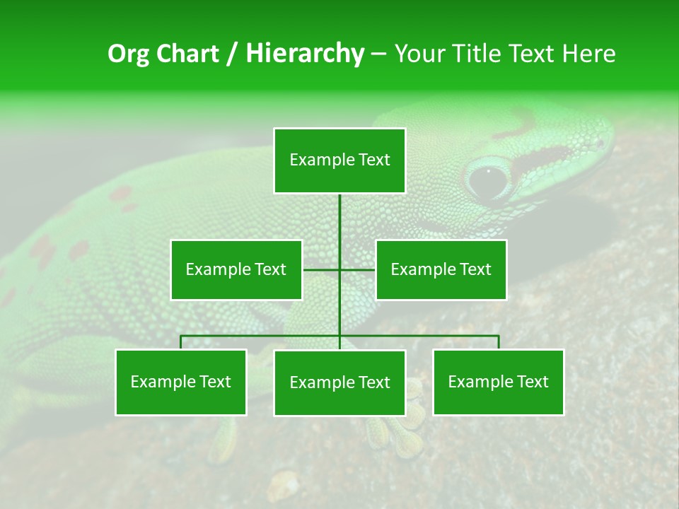 Gecko Chameleon Leaf PowerPoint Template