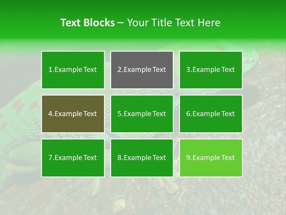 Gecko Chameleon Leaf PowerPoint Template