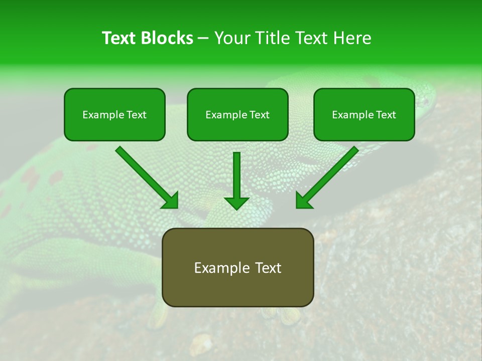 Gecko Chameleon Leaf PowerPoint Template