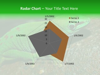 Gecko Chameleon Leaf PowerPoint Template