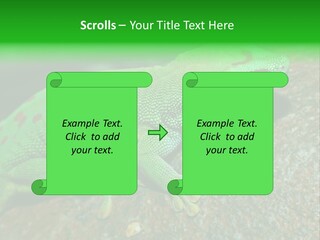 Gecko Chameleon Leaf PowerPoint Template