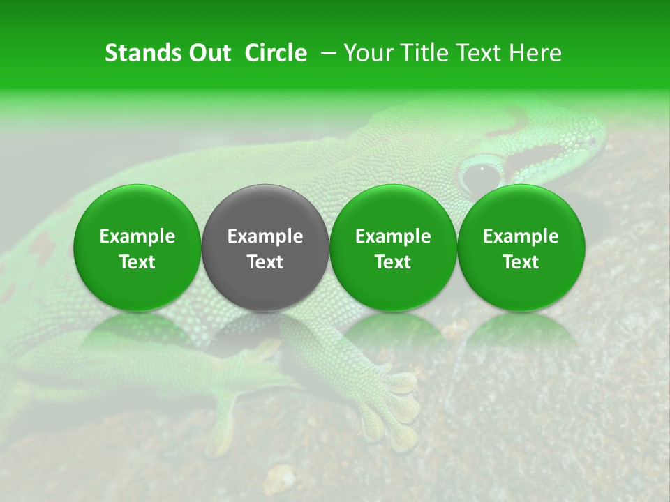 Gecko Chameleon Leaf PowerPoint Template